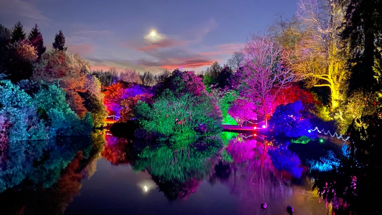 A view of the garden's lake illuminated by Christmas lights of various colours.